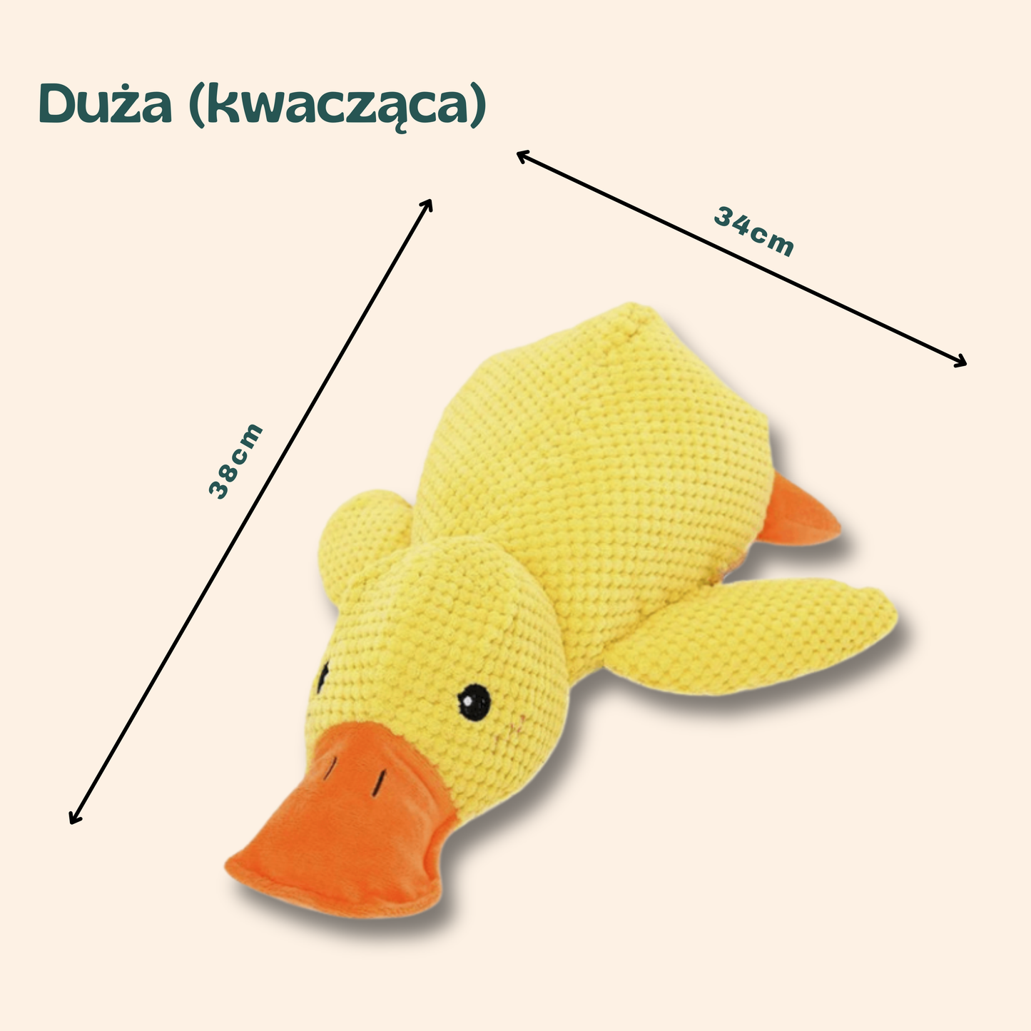 ŁAPKO KACZUSZKA