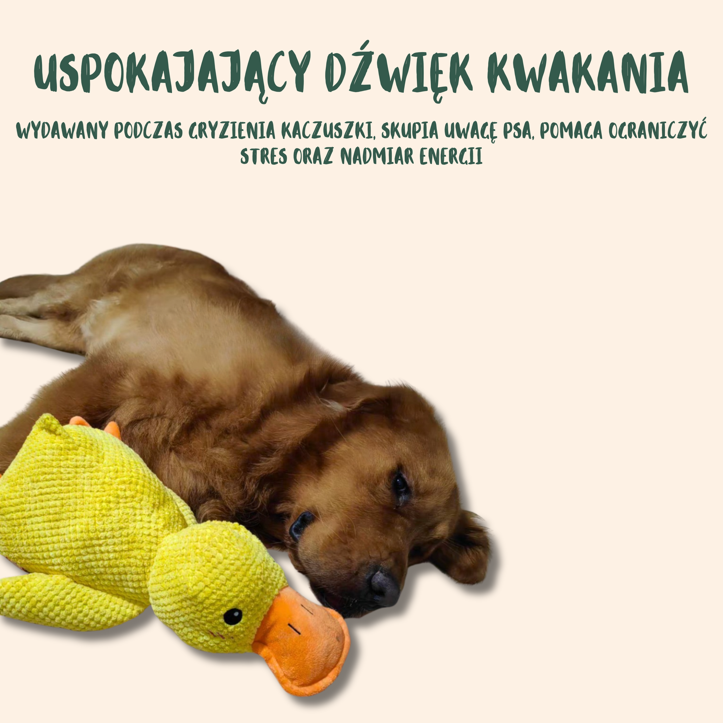 ŁAPKO KACZUSZKA