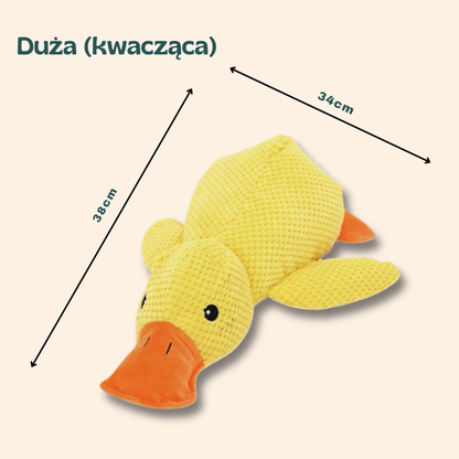ŁAPKO KACZUSZKA
