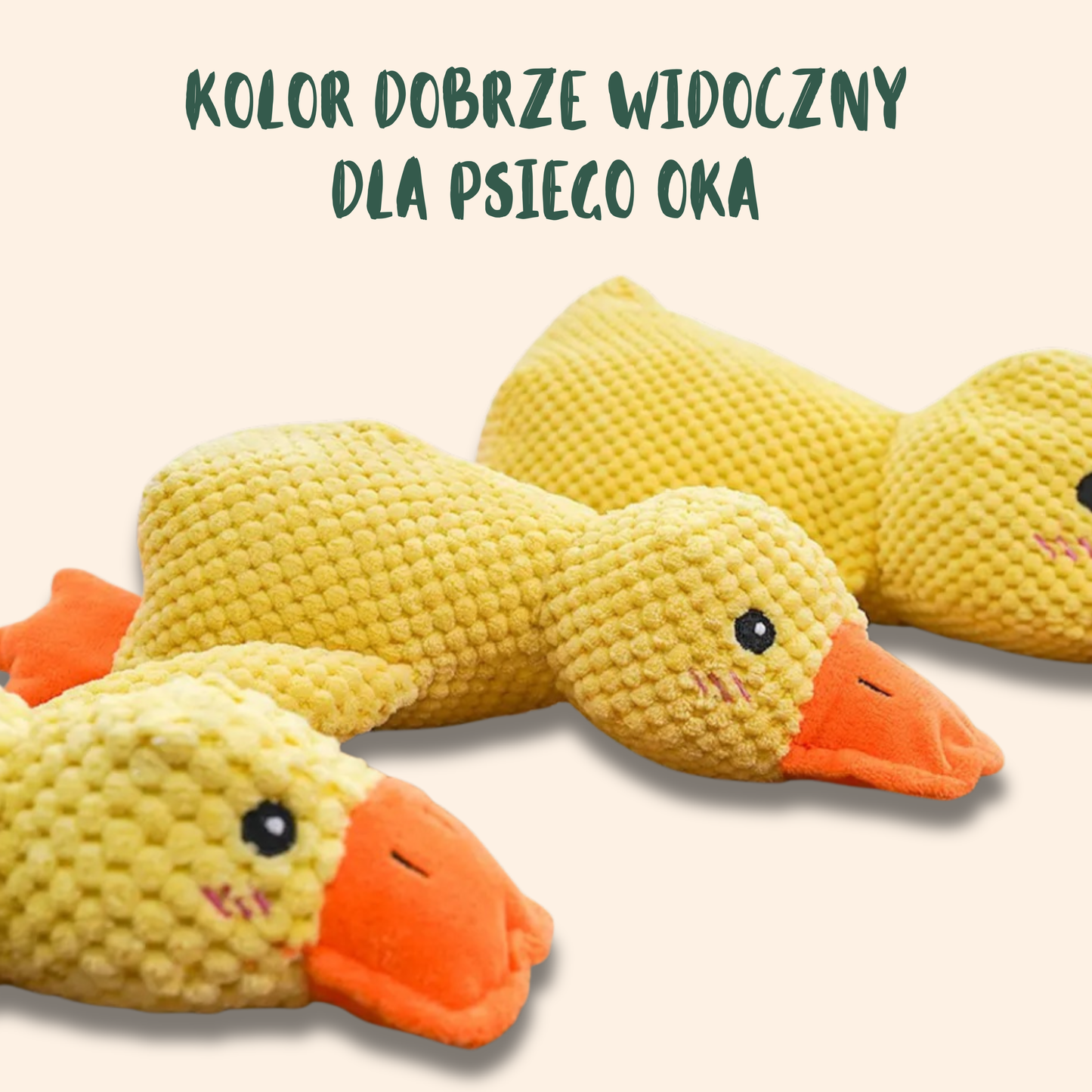 ŁAPKO KACZUSZKA