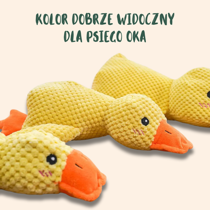 ŁAPKO KACZUSZKA