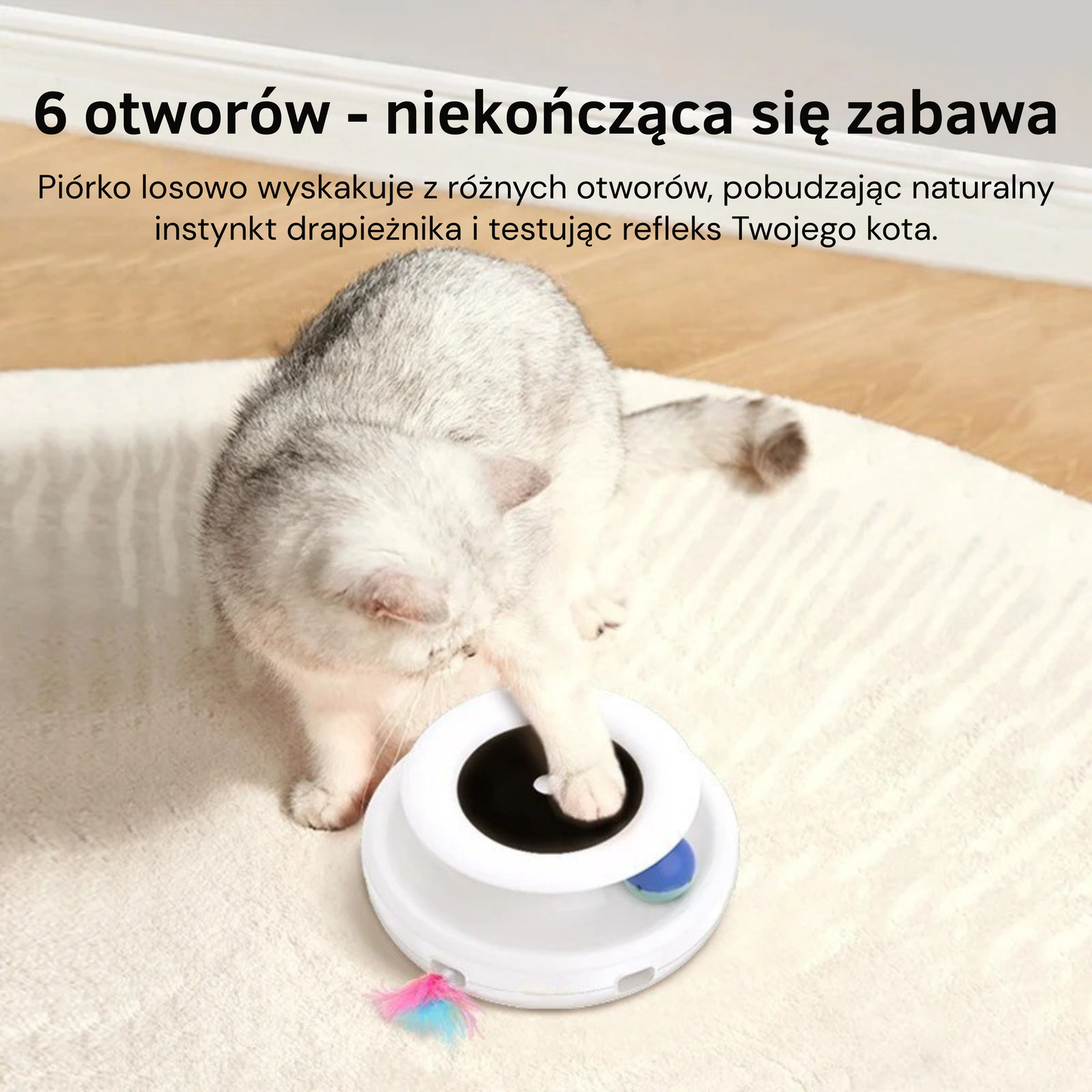 ŁapkoChase 360