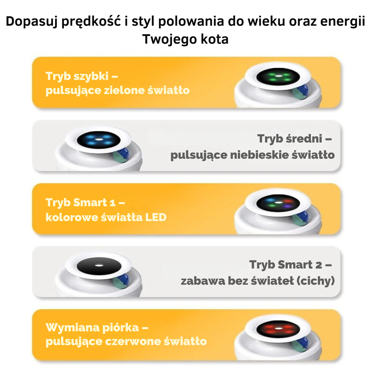 ŁapkoChase 360
