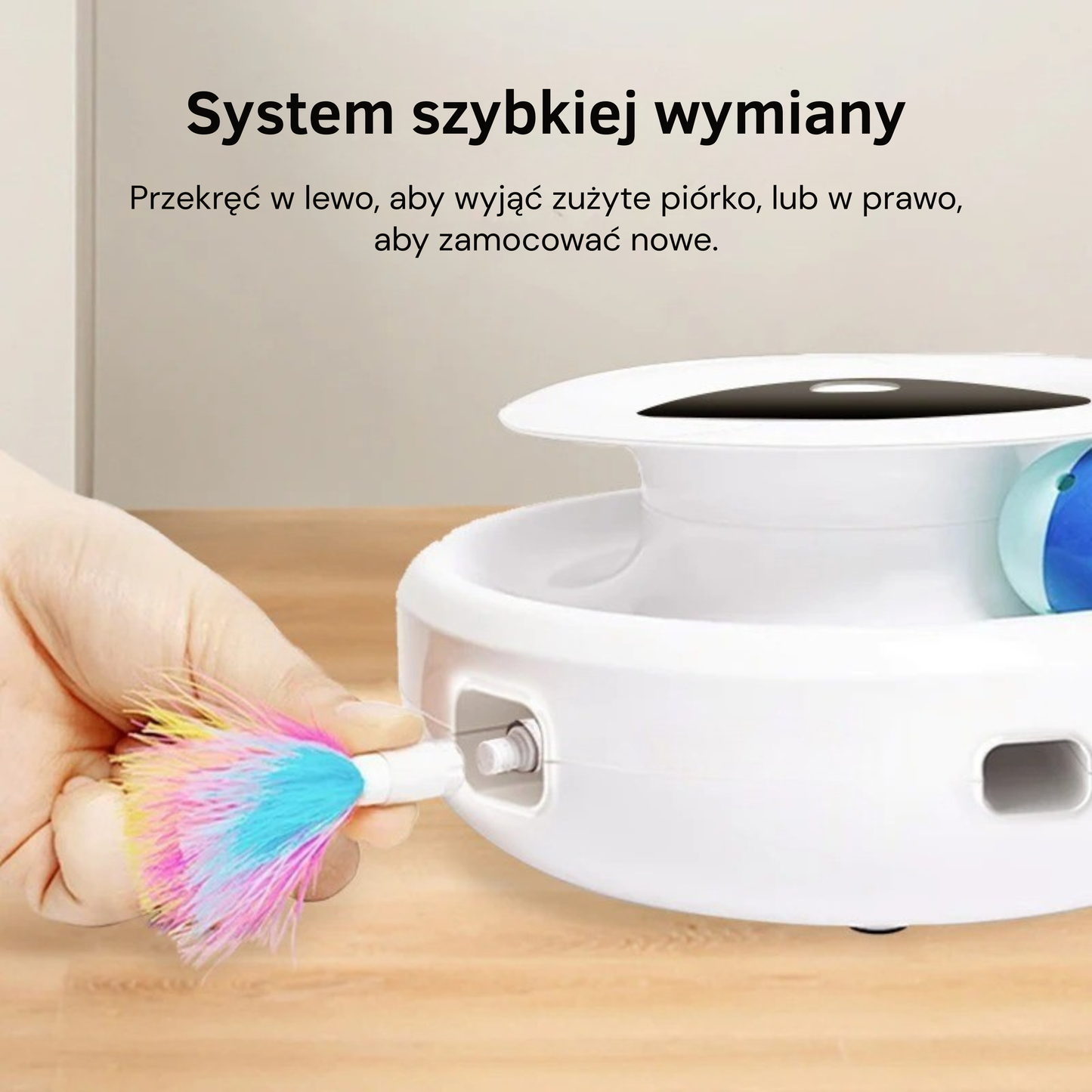 ŁapkoChase 360