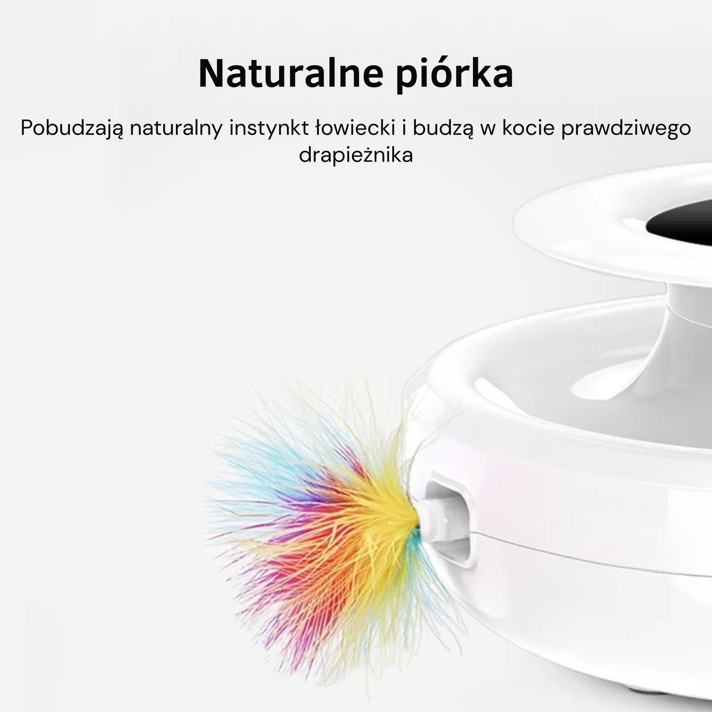 ŁapkoChase 360