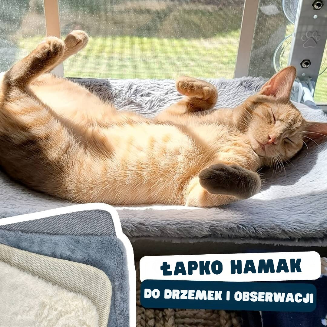 Łapko Hamak